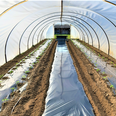 Plastenik za ljute papričice